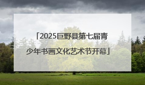 2025巨野县第七届青少年书画文化艺术节开幕
