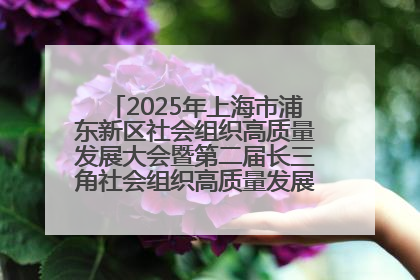 2025年上海市浦东新区社会组织高质量发展大会暨第二届长三角社会组织高质量发展峰会成功举办