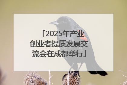2025年产业创业者提质发展交流会在成都举行