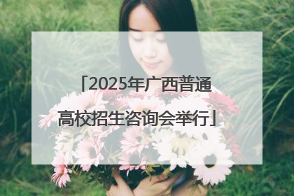 2025年广西普通高校招生咨询会举行