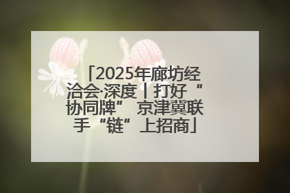 2025年廊坊经洽会·深度丨打好“协同牌” 京津冀联手“链”上招商