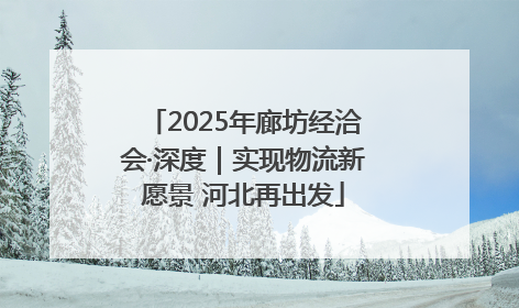 2025年廊坊经洽会·深度｜实现物流新愿景 河北再出发