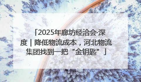 2025年廊坊经洽会·深度｜降低物流成本，河北物流集团找到一把“金钥匙”