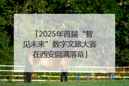 2025年首届“智见未来”数字文旅大赛在西安圆满落幕