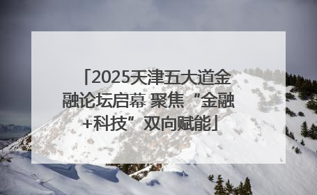 2025天津五大道金融论坛启幕 聚焦“金融+科技”双向赋能