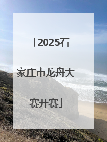 2025石家庄市龙舟大赛开赛