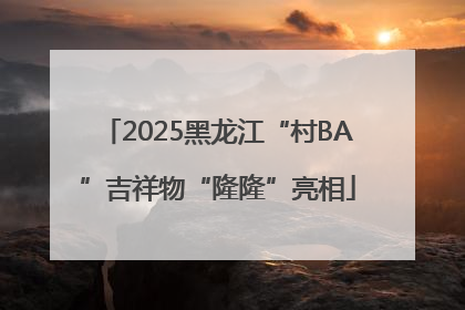 2025黑龙江“村BA”吉祥物“隆隆”亮相