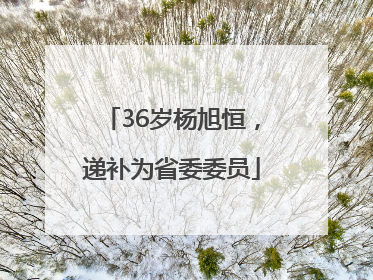 36岁杨旭恒，递补为省委委员