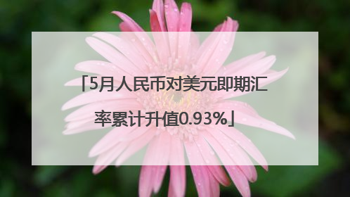 5月人民币对美元即期汇率累计升值0.93%