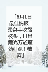 6月1日最佳情报｜桑葚丰收缀枝头，日出霞光万道蓬勃壮观！恭喜