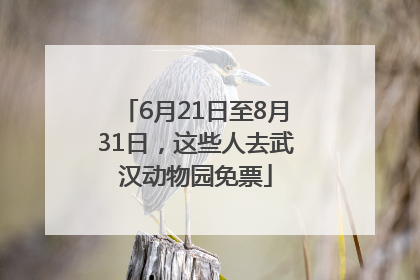 6月21日至8月31日，这些人去武汉动物园免票