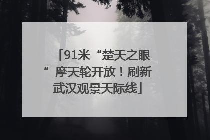 91米“楚天之眼”摩天轮开放！刷新武汉观景天际线