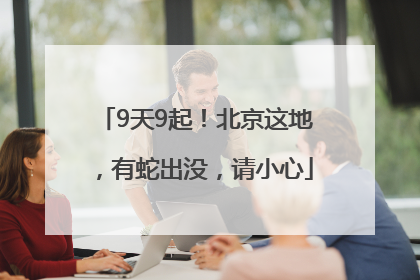 9天9起！北京这地，有蛇出没，请小心