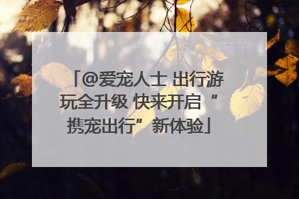 @爱宠人士 出行游玩全升级 快来开启“携宠出行”新体验