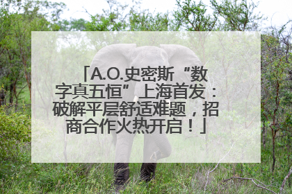 A.O.史密斯“数字真五恒”上海首发：破解平层舒适难题，招商合作火热开启！