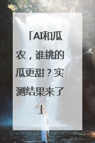 AI和瓜农，谁挑的瓜更甜？实测结果来了