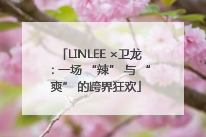 LINLEE ×卫龙：一场 “辣” 与 “爽” 的跨界狂欢