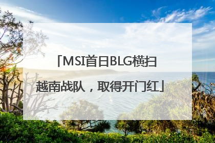 MSI首日BLG横扫越南战队，取得开门红