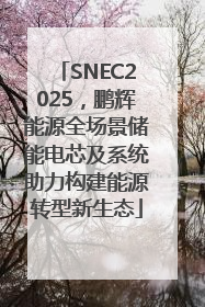 SNEC2025，鹏辉能源全场景储能电芯及系统助力构建能源转型新生态